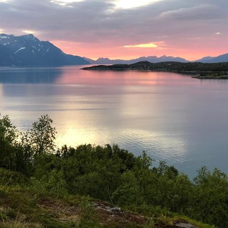 Aaroybukt Guesthouse Aroybukta Eksteriør billede