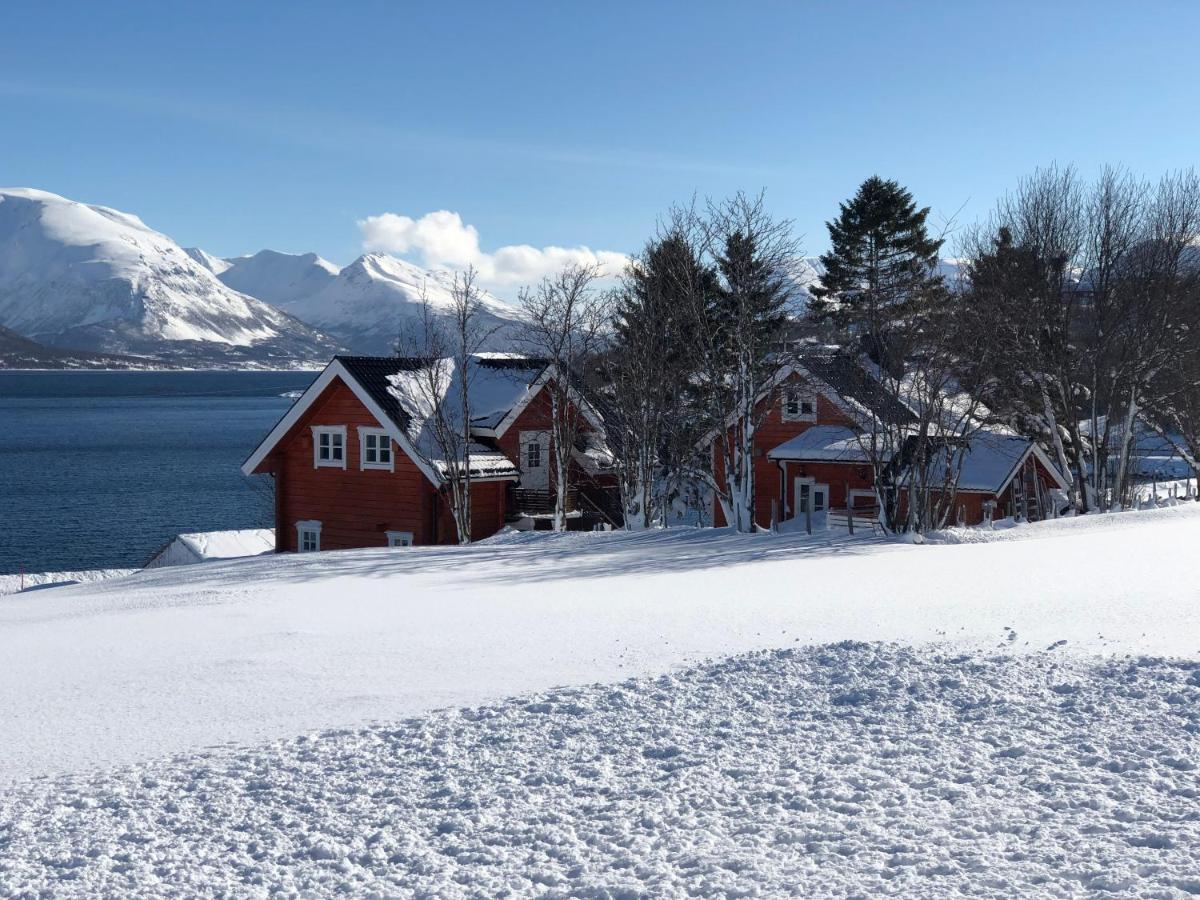 Aaroybukt Guesthouse Aroybukta Eksteriør billede