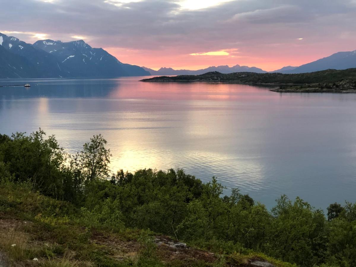 Aaroybukt Guesthouse Aroybukta Eksteriør billede